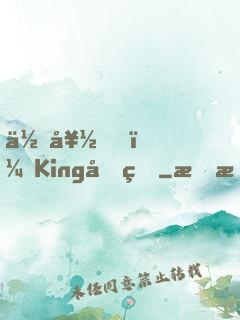 你好，King先生
